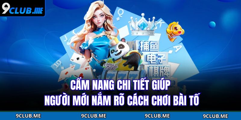 Cẩm nang chi tiết giúp người mới nắm rõ cách chơi bài Tố