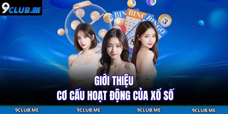 Giới thiệu cơ cấu hoạt động của xổ số