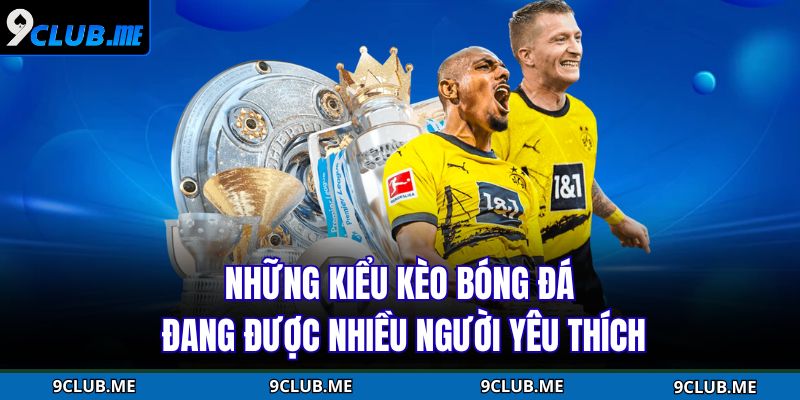 Cá Cược Bóng Đá - Hướng Dẫn Cụ Thể Dành Cho Người Mới 3 Những kiểu kèo bóng đá đang được nhiều người yêu thích